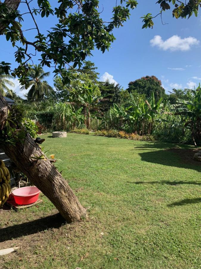 Green Queendom Farm And Lodging Oracabessa Extérieur photo