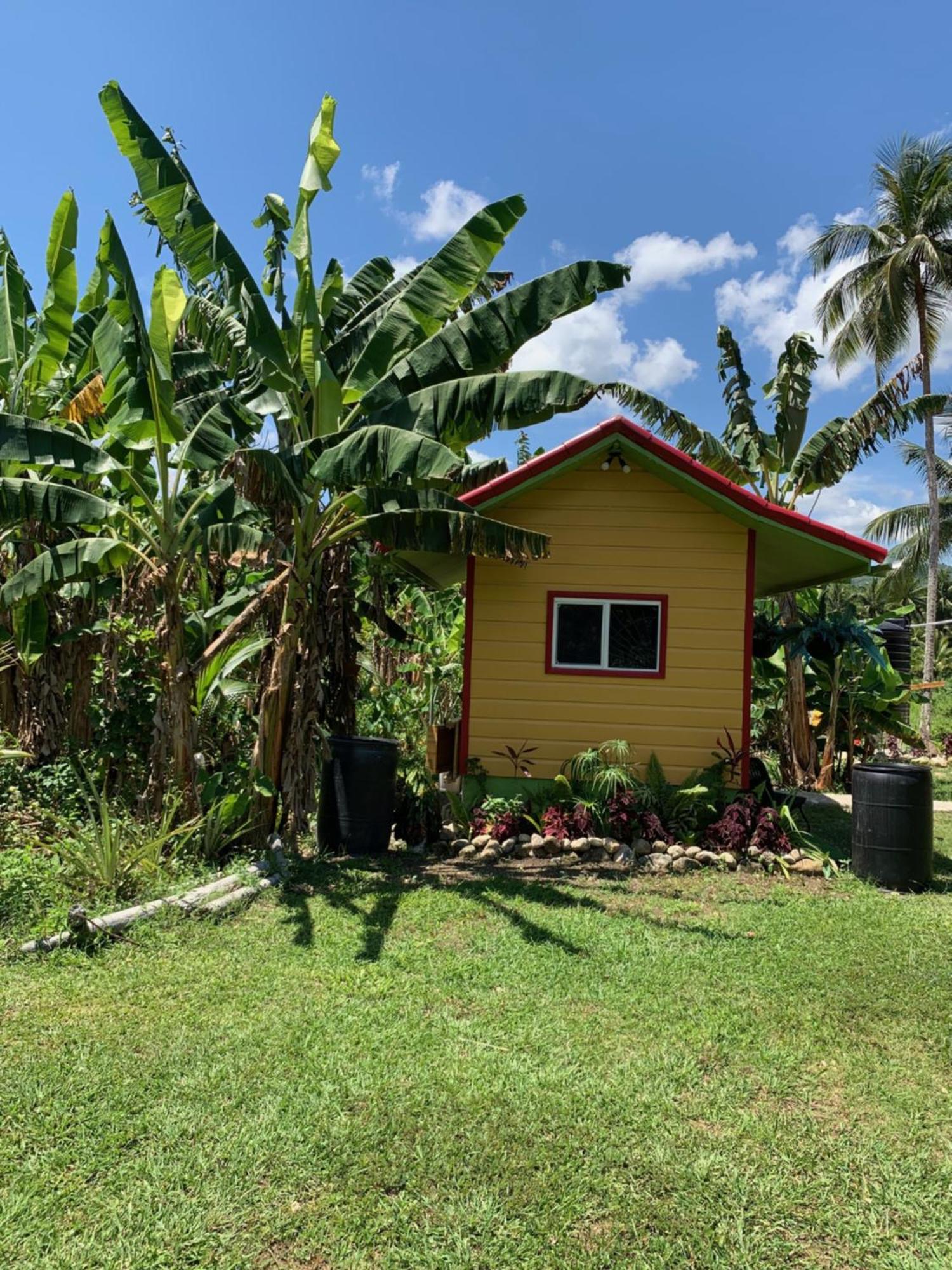 Green Queendom Farm And Lodging Oracabessa Extérieur photo